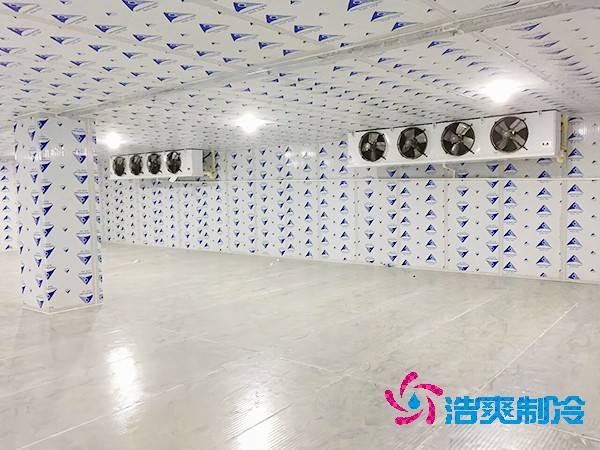 建造一个餐饮双温冷库造价成本需要多少资金？