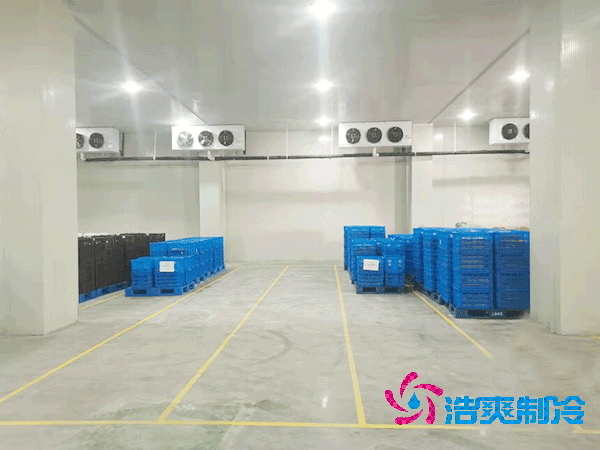 加工厂冷库安装造价成本大概多少钱？