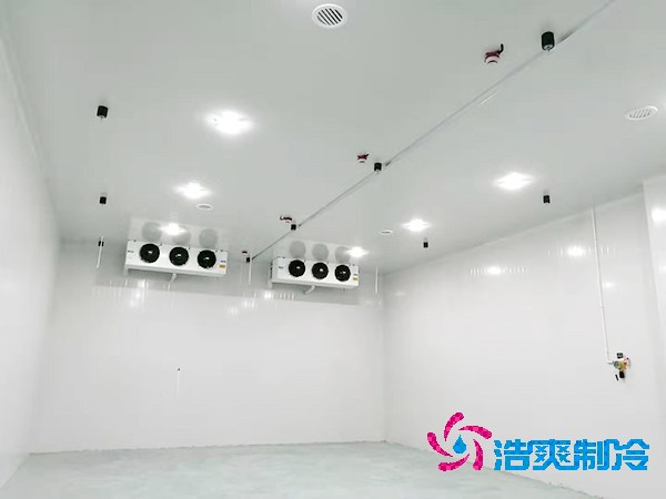 冷库造价揭秘：300平方米到底要花多少钱？-浩爽制冷