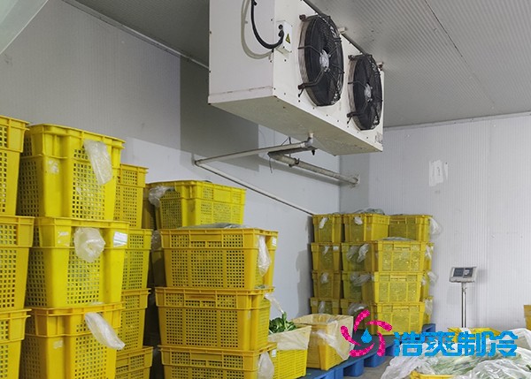 农副产品保鲜冷库造价预算