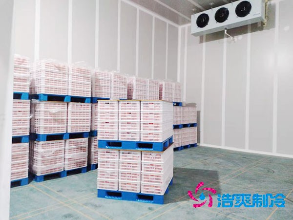 水果冷藏库造价预算及特点分析