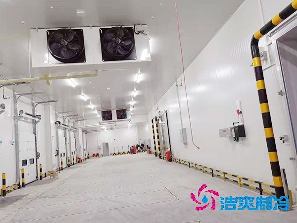 1000立方冷库造价预算及耗电量解析