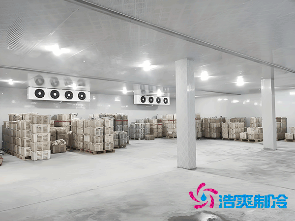 1000立方冷库造价预算及耗电量解析