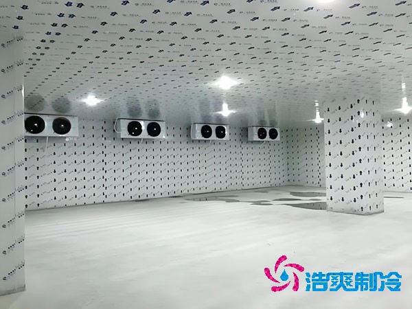 小型速冻冷库建造价格
