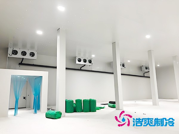 坚果冷库建设预算