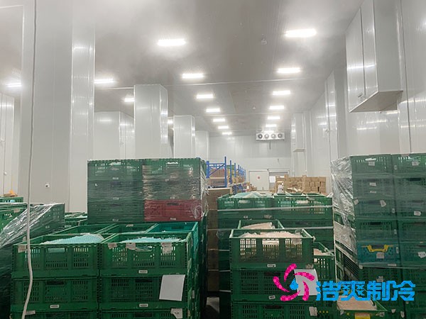 100平米保鲜冷库能存储多少吨香菇？香菇冷库造价多少钱？