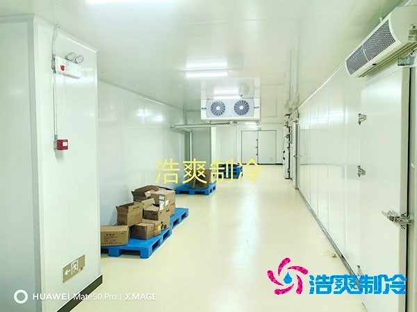 荔枝冷库安装价格多少钱一平方米？荔枝冷库可以放多久-浩爽制冷