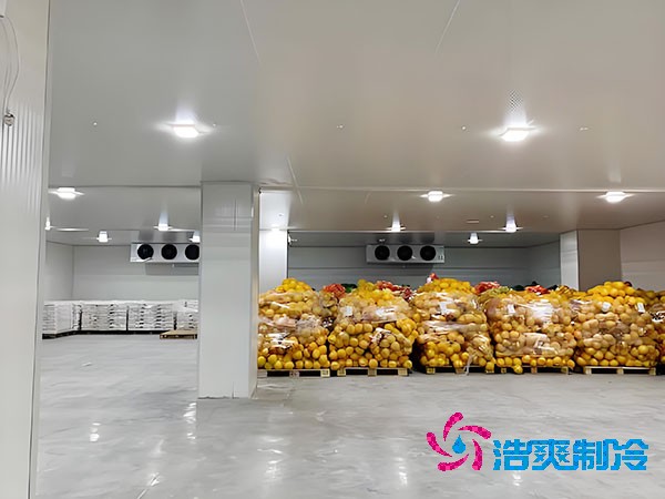 建一个蔬菜冷库造价需要多少钱?-浩爽制冷