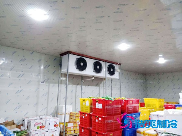 建一个蔬菜冷库造价需要多少钱?-浩爽制冷