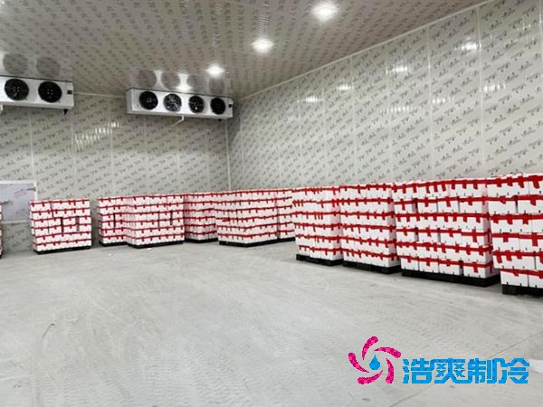 贮存食品建造价格